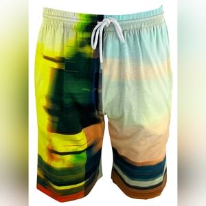 NWT sz L $895 Dries Van Noten men's shorts